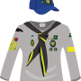 timberwolf-shirt-artboard-1.png